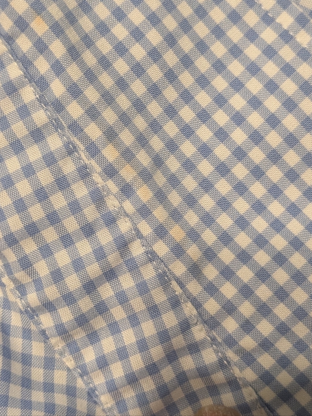 Polo by Ralph Lauren Blue and White Gingham Button-Down Shirt - Picture 4 of 5